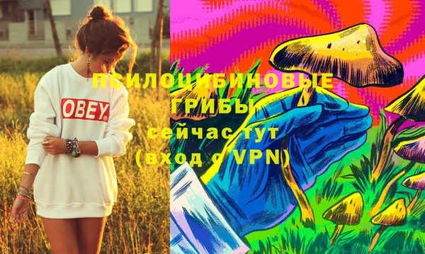 шишки Волосово