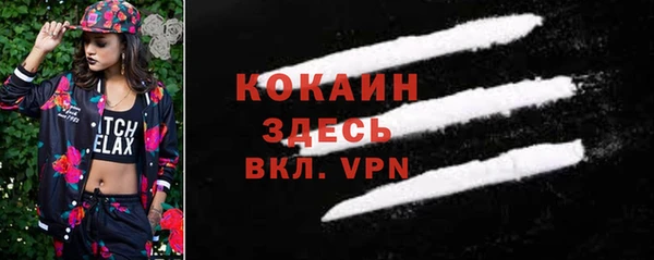 шишки Волосово